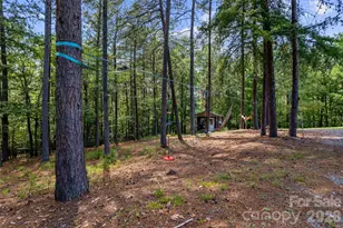 4551 Lake Adger Pkwy, Mill Spring, NC 28756 - Photo 30