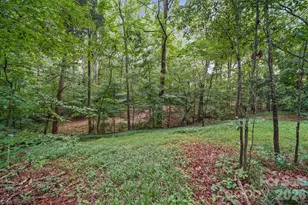 1802 Dogwood Ct, Fort Mill, SC 29715 - Photo 32