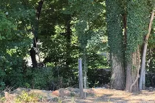 44 Ridgecrest Dr, Marion, NC 28752 - Photo 28