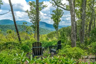 99999 E Garden Trail, Fletcher, NC 28732 - Photo 1