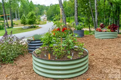 99999 E Garden Trail #46, Fletcher, NC 28732 - Photo 30