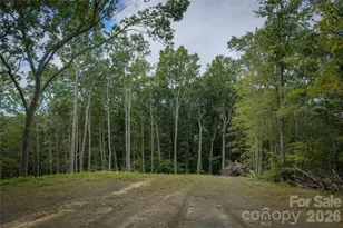 7 Wid Smith Rd, Burnsville, NC 28714 - Photo 24
