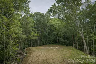 7 Wid Smith Rd, Burnsville, NC 28714 - Photo 24