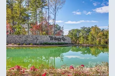 218 Stone Mountain Way, Denver, NC 28037 - Photo 44