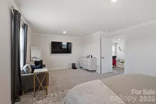 571 Palmarosa St, Fort Mill, SC 29715 - Photo 24