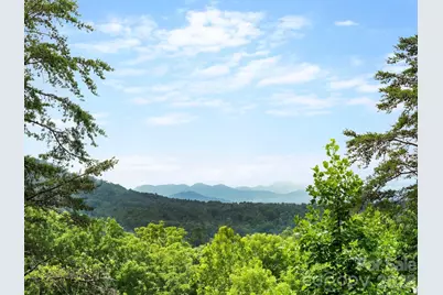 333 Herron Point Lane, Weaverville, NC 28787 - Photo 4