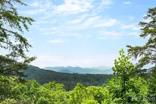333 Herron Point Ln, Weaverville, NC 28787 - Photo 4
