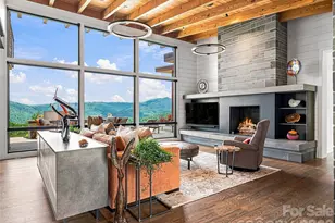 25 Bartrams Walk Dr, Asheville, NC 28804 - Photo 2