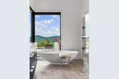 25 Bartrams Walk Drive, Asheville, NC 28804 - Photo 20
