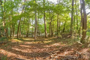 174 Laurel Ln, Lake Lure, NC 28746 - Photo 6