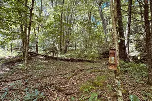 6835 Nc 183 Hwy, Newland, NC 28657 - Photo 30