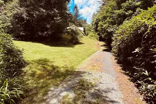 6835 Nc 183 Hwy, Newland, NC 28657 - Photo 38