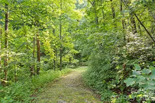 1915 Creston Dr, Black Mountain, NC 28711 - Photo 16