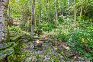 528 Brannon Forest Dr, Waynesville, NC 28785 - Photo 10