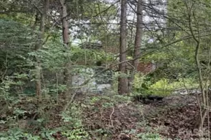 3 S and T Spirit Dr, Candler, NC 28715 - Photo 2