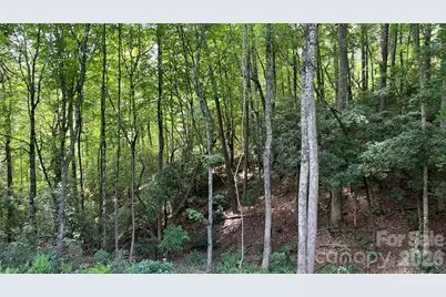 236 Forest Lane, Murphy, NC 28906 - Photo 14