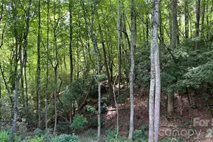 236 Forest Ln, Murphy, NC 28906 - Photo 14