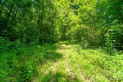 Tbd Indian Flats Drive, Sylva, NC 28779 - Photo 1