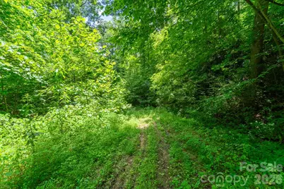 Tbd Indian Flats Drive, Sylva, NC 28779 - Photo 4