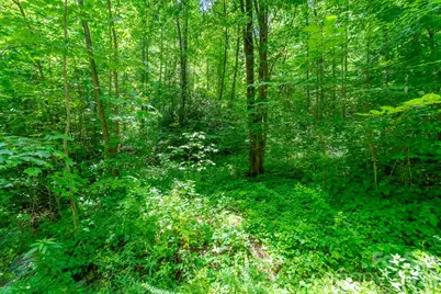 Tbd Indian Flats Drive, Sylva, NC 28779 - Photo 6