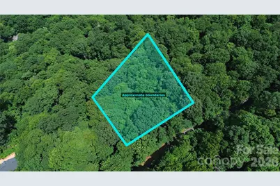 7 White Birch Court, Black Mountain, NC 28711 - Photo 1