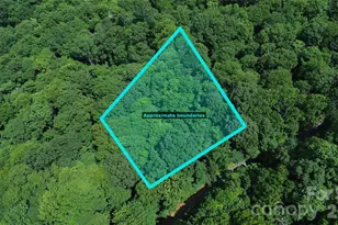 7 White Birch Ct, Black Mountain, NC 28711 - Photo 1