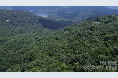 7 White Birch Court, Black Mountain, NC 28711 - Photo 4