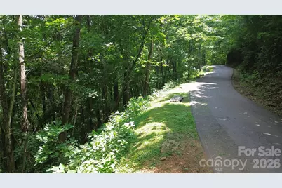 7 White Birch Court, Black Mountain, NC 28711 - Photo 6
