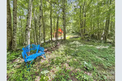 321 Grays Shadow Lane, Banner Elk, NC 28604 - Photo 2
