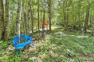321 Grays Shadow Ln, Banner Elk, NC 28604 - Photo 2