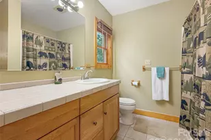 321 Grays Shadow Ln, Banner Elk, NC 28604 - Photo 30