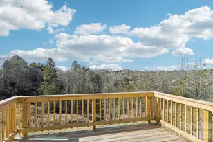 843 Adelston Ln, Asheville, NC 28804 - Photo 36