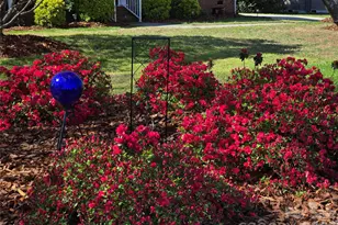 2004 Battle St, Salisbury, NC 28146 - Photo 30