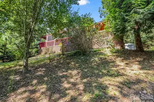 771 Bishop Ln, Mill Spring, NC 28756 - Photo 38