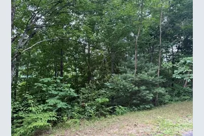 12 Silverstone Drive, Hendersonville, NC 28792 - Photo 4