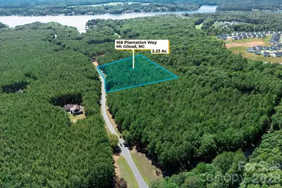 168 Plantation Way, Mount Gilead, NC 27306 - Photo 4