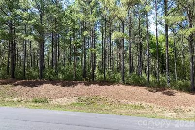 168 Plantation Way, Mount Gilead, NC 27306 - Photo 10