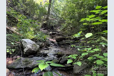 454 Forest Brook Road, Black Mountain, NC 28711 - Photo 18