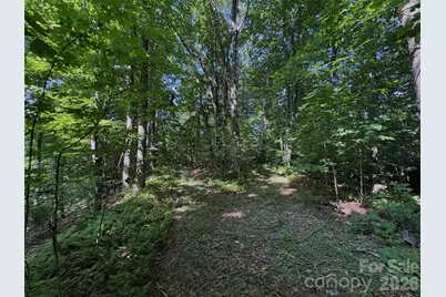 454 Forest Brook Road, Black Mountain, NC 28711 - Photo 6