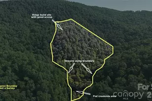 454 Forest Brook Rd, Black Mountain, NC 28711 - Photo 1