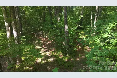 454 Forest Brook Road, Black Mountain, NC 28711 - Photo 22