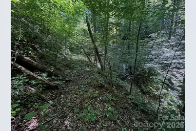 454 Forest Brook Road, Black Mountain, NC 28711 - Photo 20