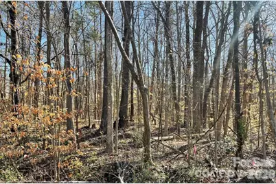 03 Lurecliff Place, Fort Mill, SC 29708 - Photo 10