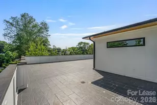 3008 Holt St, Charlotte, NC 28205 - Photo 42