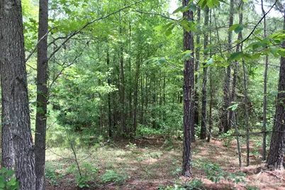 000 John Watson Road, Rutherfordton, NC 28139 - Photo 12
