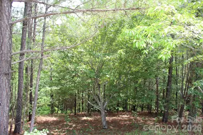 000 John Watson Road, Rutherfordton, NC 28139 - Photo 8