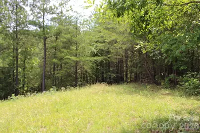 000 John Watson Road, Rutherfordton, NC 28139 - Photo 6