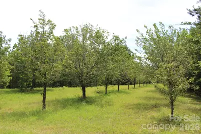 000 John Watson Road, Rutherfordton, NC 28139 - Photo 24