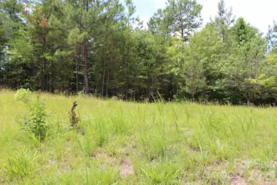 000 John Watson Road, Rutherfordton, NC 28139 - Photo 4