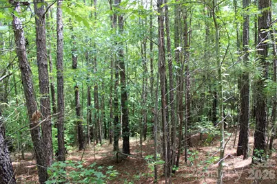 000 John Watson Road, Rutherfordton, NC 28139 - Photo 10